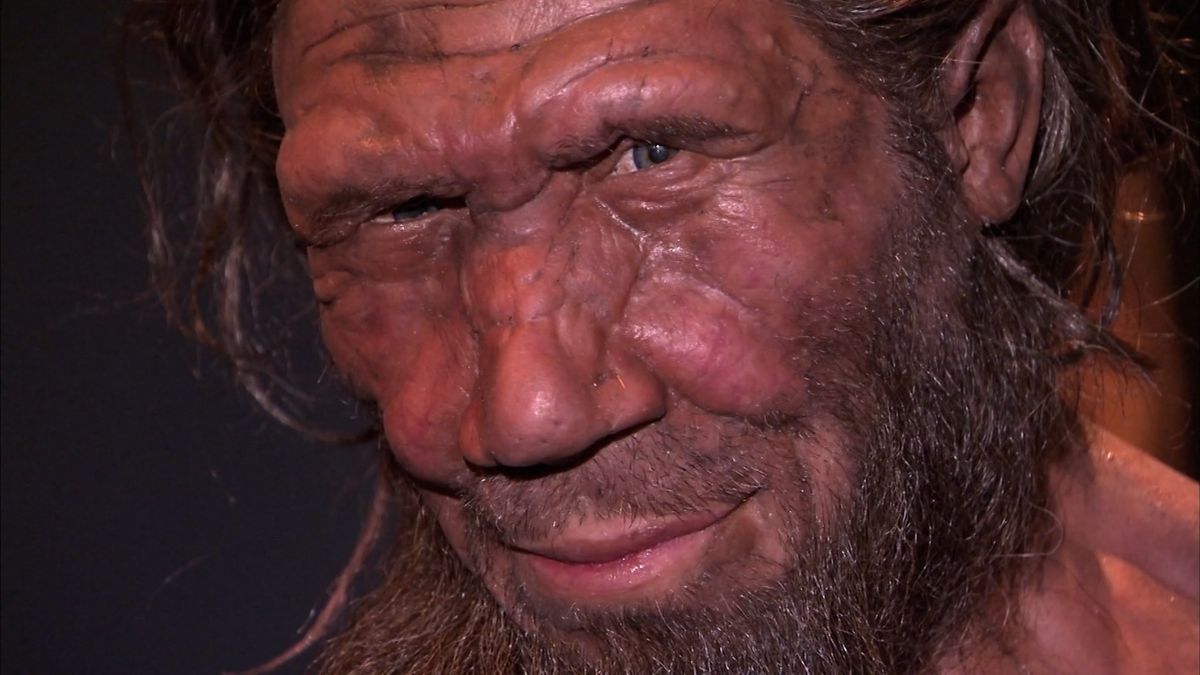Studium DNA odtajnilo nejstarší známou neandertálskou rodinu. Je ze Sibiře